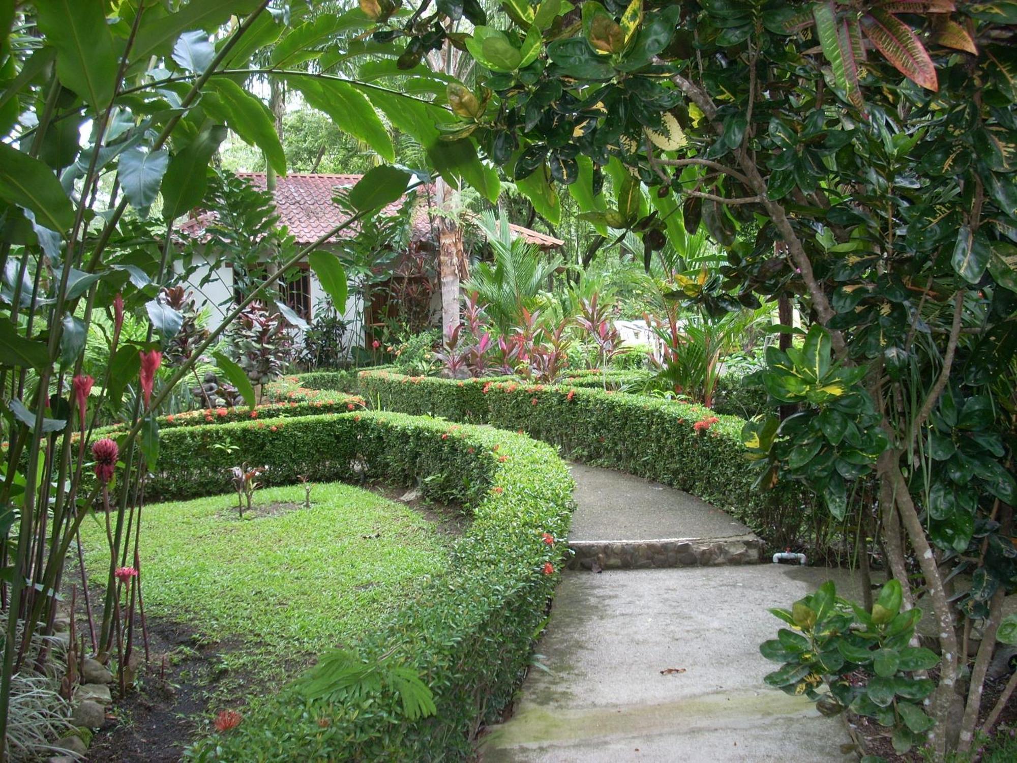 La Palapa Ecolodge Portalón Exteriér fotografie