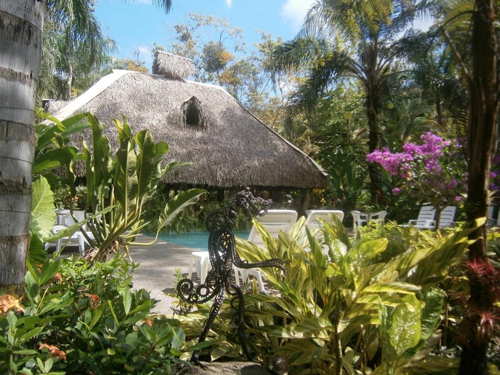La Palapa Ecolodge Portalón Exteriér fotografie