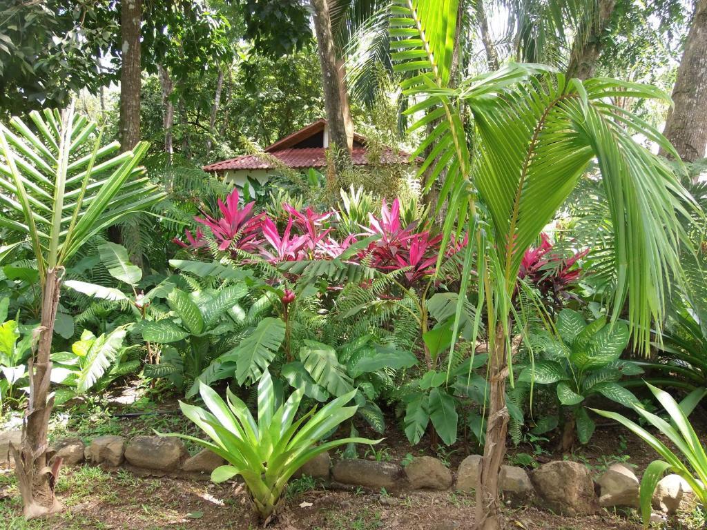 La Palapa Ecolodge Portalón Exteriér fotografie