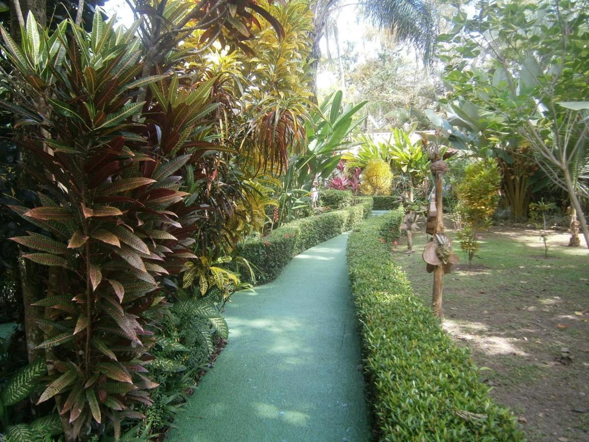 La Palapa Ecolodge Portalón Exteriér fotografie